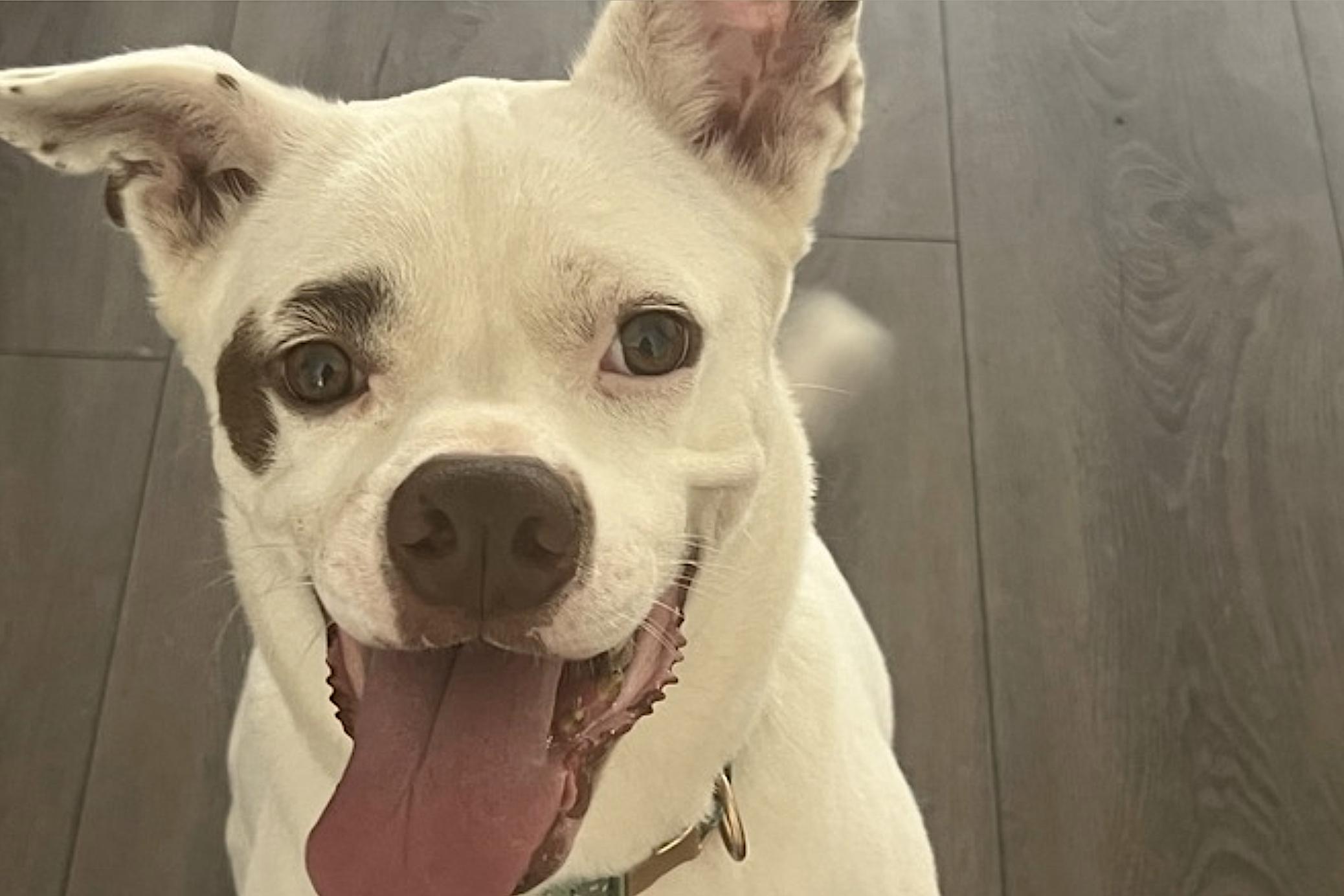 Boots — thumbnail 3