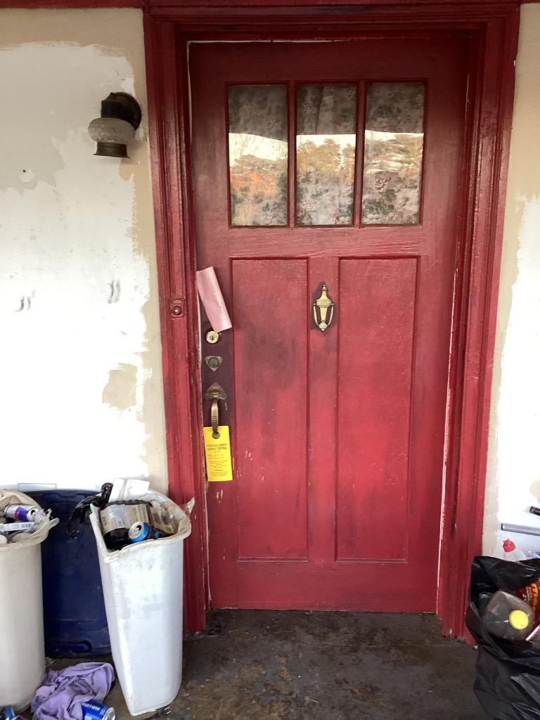 Enlarge Sandi, a Adoptable mixed breed in Winnsboro, SC image 1/3