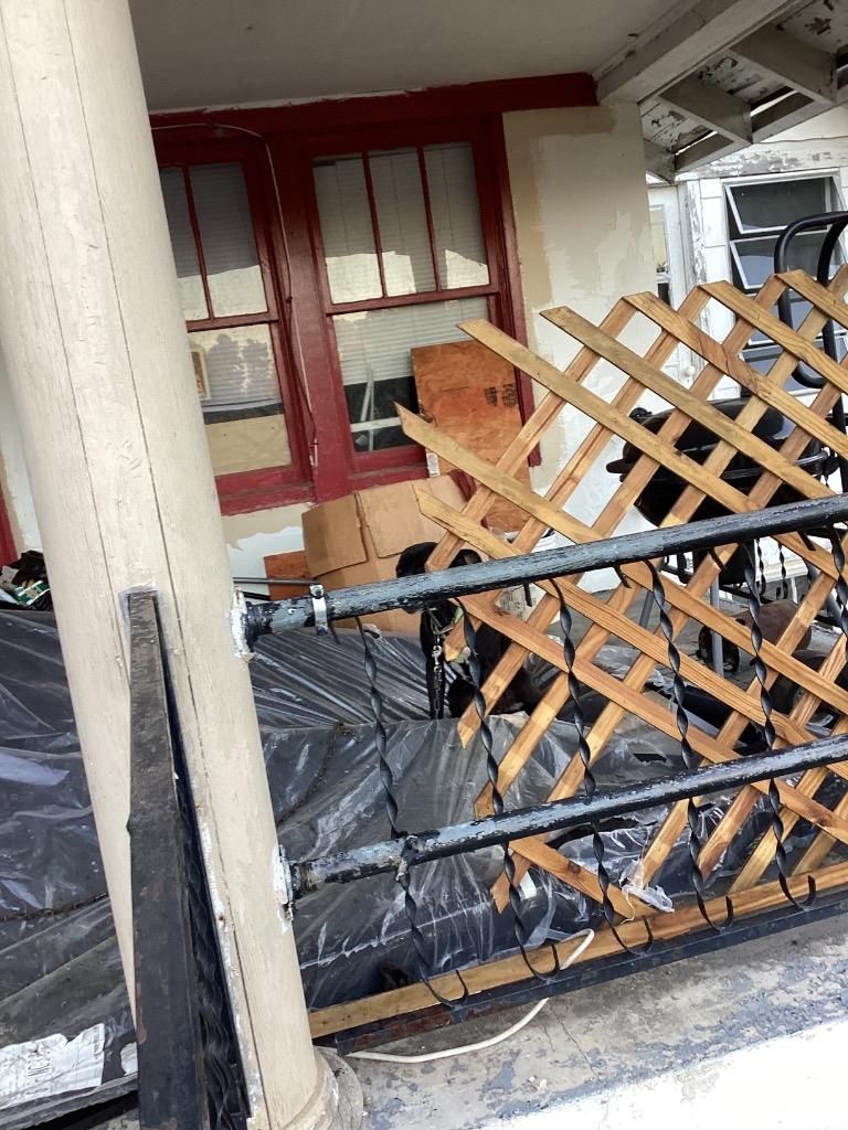 Enlarge Sandi, a Adoptable mixed breed in Winnsboro, SC image 3/3