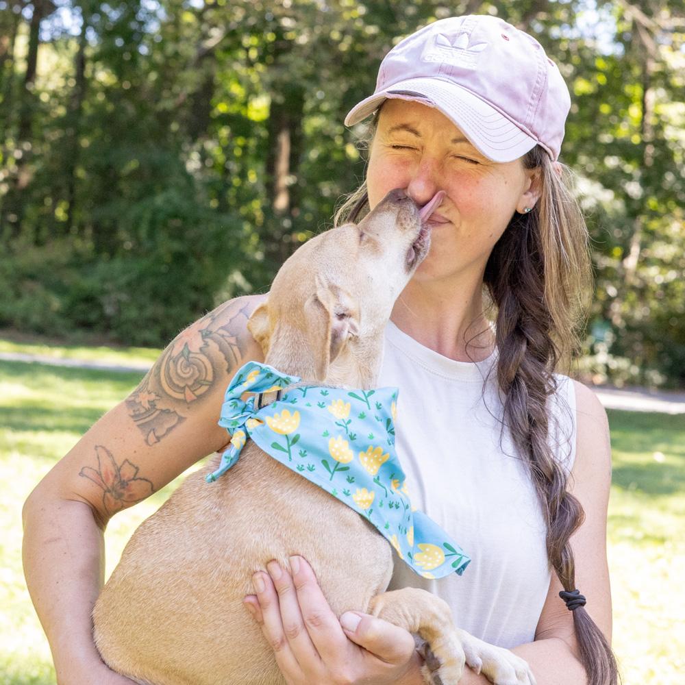 Enlarge Lemon (Female), a Adoptable mixed breed in West Grove, PA image 6/6
