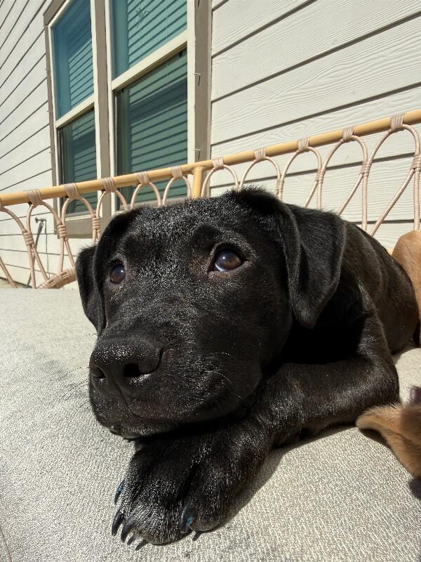 Hawaii State — thumbnail 2