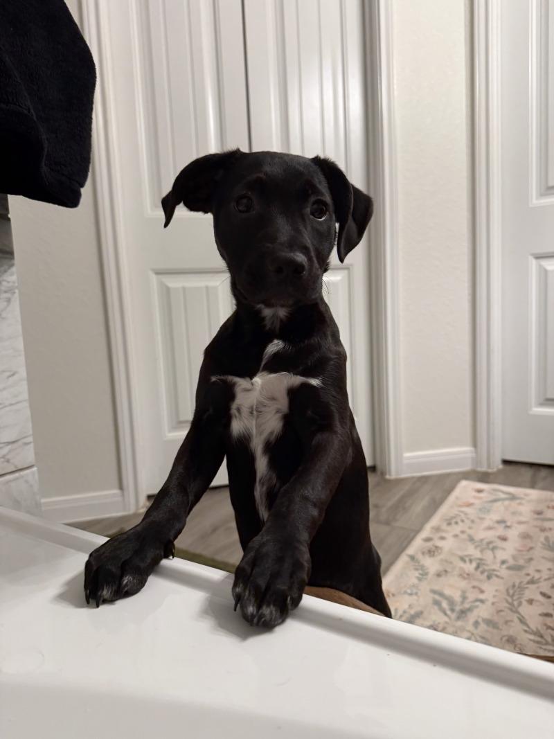 Hawaii State — thumbnail 3