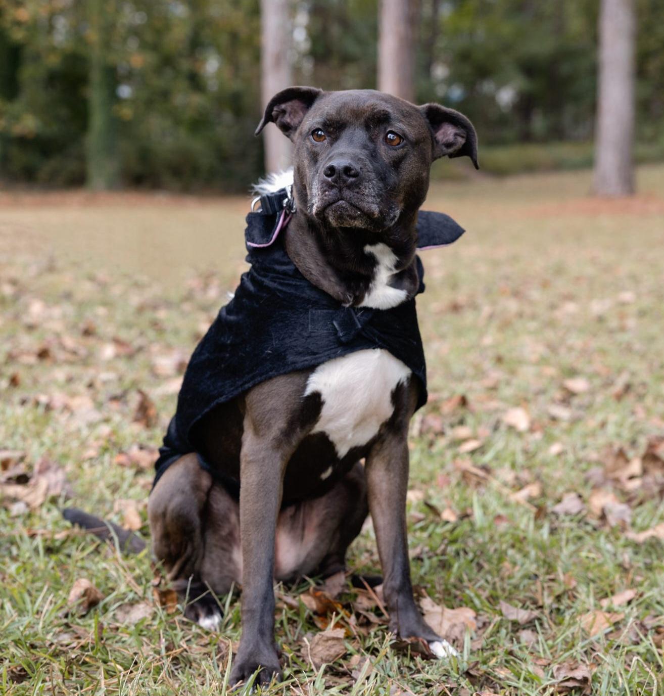 Dayton (aka Daytona)