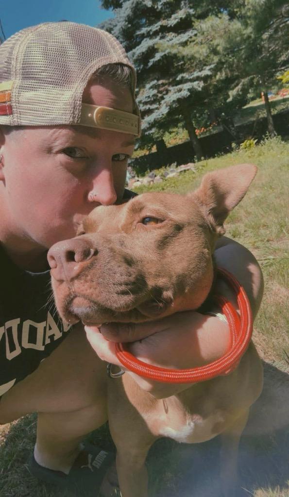 Hershey - LOCAL, a Adoptable mixed breed in Princeton, MA image 4/6