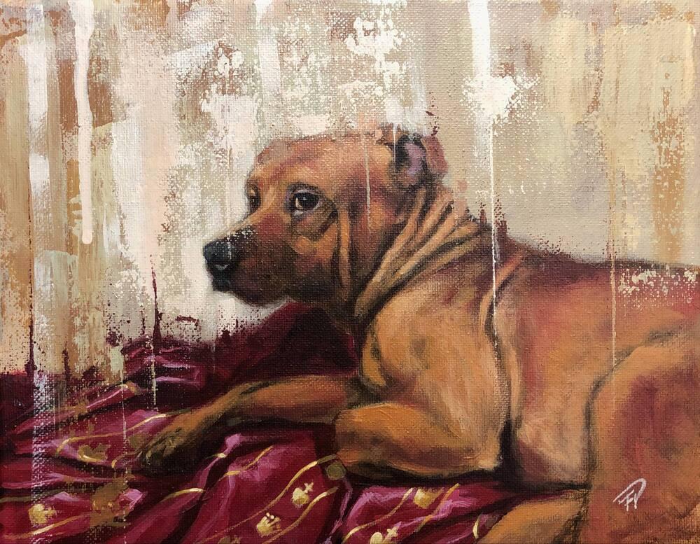 Enlarge MILES | LONGEST RESIDENT $0 Adopt Fee!, a Adoptable mixed breed in Rochester, IN image 3/6