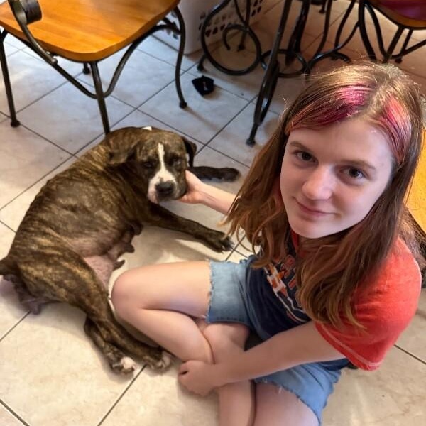 Ann Marie Wiggle Butt Wonderful — thumbnail 5