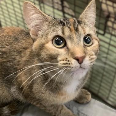 Toes @ Petco — thumbnail 2