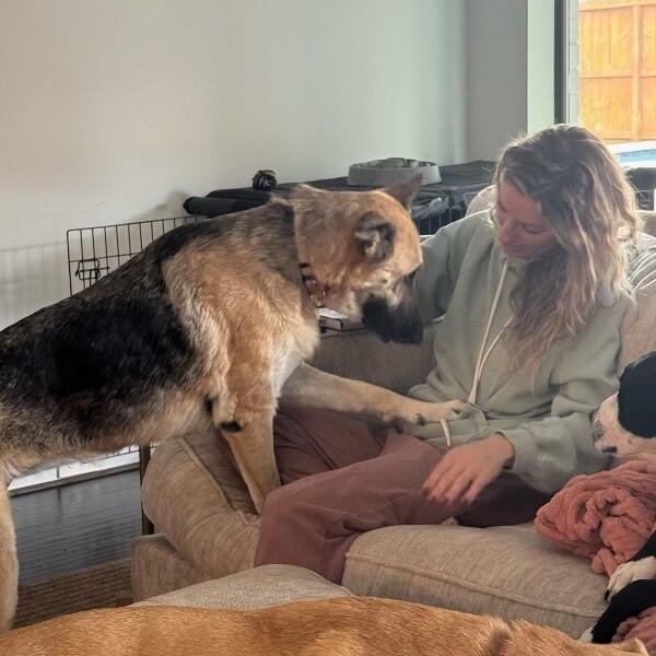 Zora Cozy Concierge — thumbnail 5