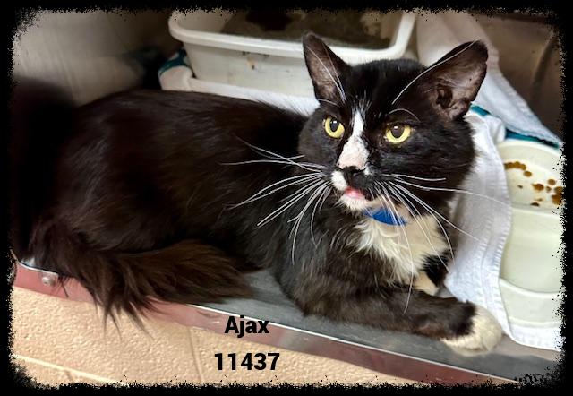 AJAX