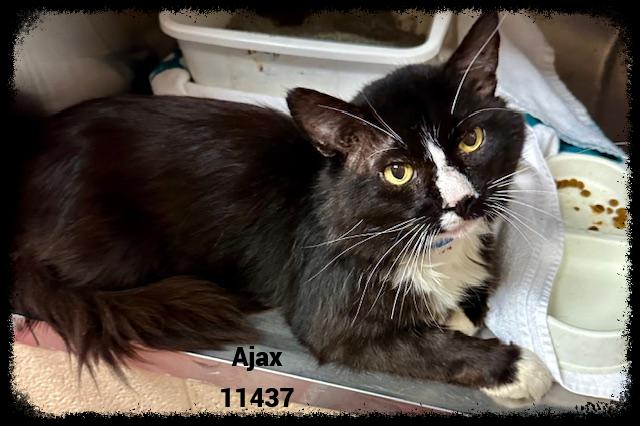 AJAX