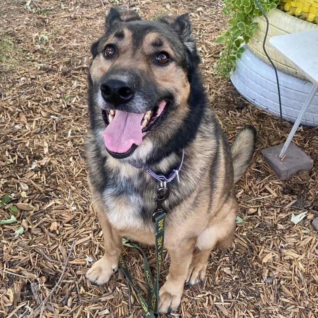 Luka — thumbnail 2