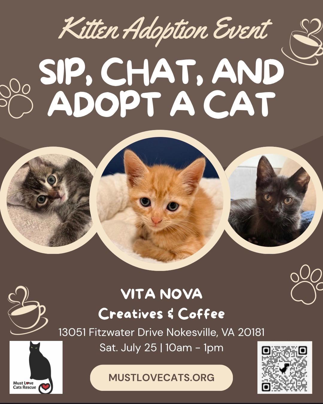 KITTEN ADOPTION EVENT - ALL AGES AND GENDERS - Sat, July 25, an adoptable Domestic Short Hair in Bristow, VA image 6/6