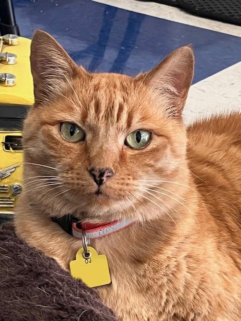 OJ & Pretty Girl *Courtesy Post*