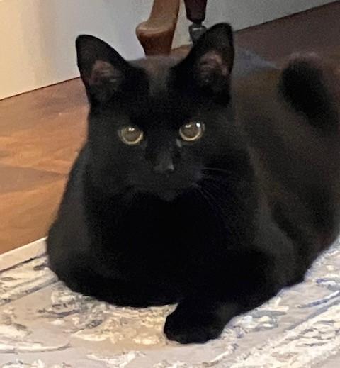 OJ & Pretty Girl *Courtesy Post*