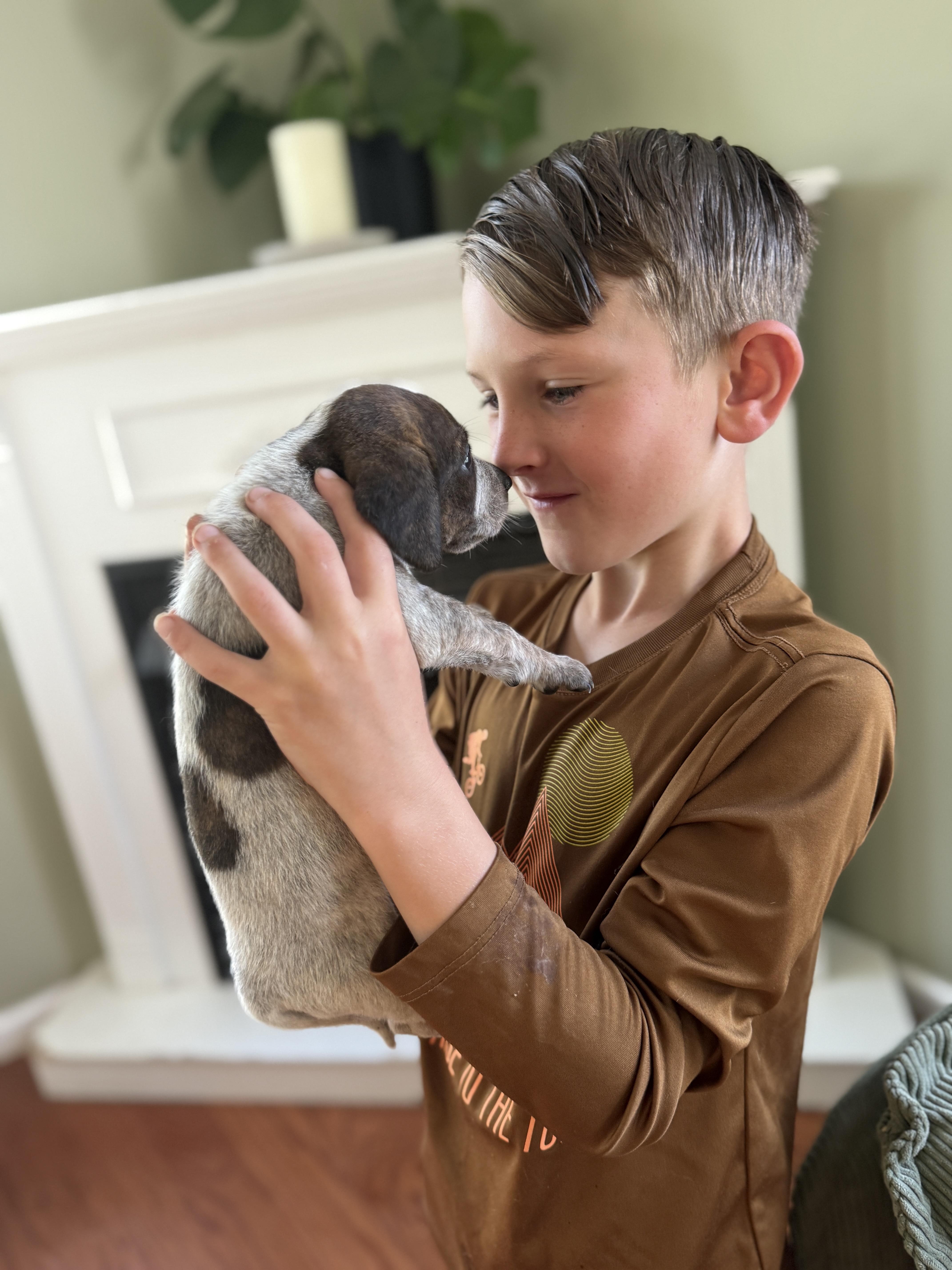 Enlarge Thistle , a ADOPTABLE mixed breed in HONEY BROOK, PA image 5/6