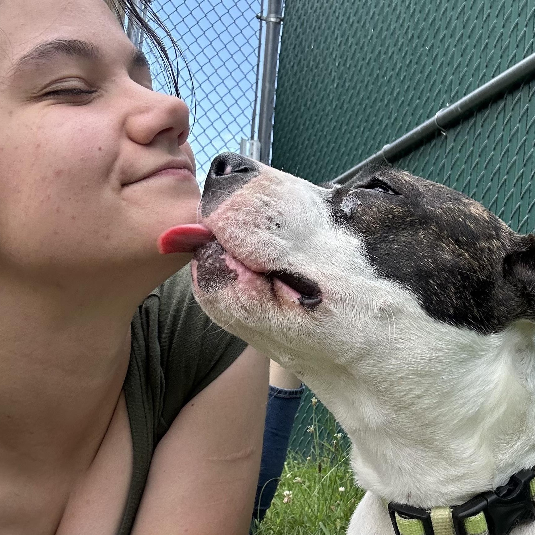 Erin, a Adoptable mixed breed in West Jefferson, OH image 4/6