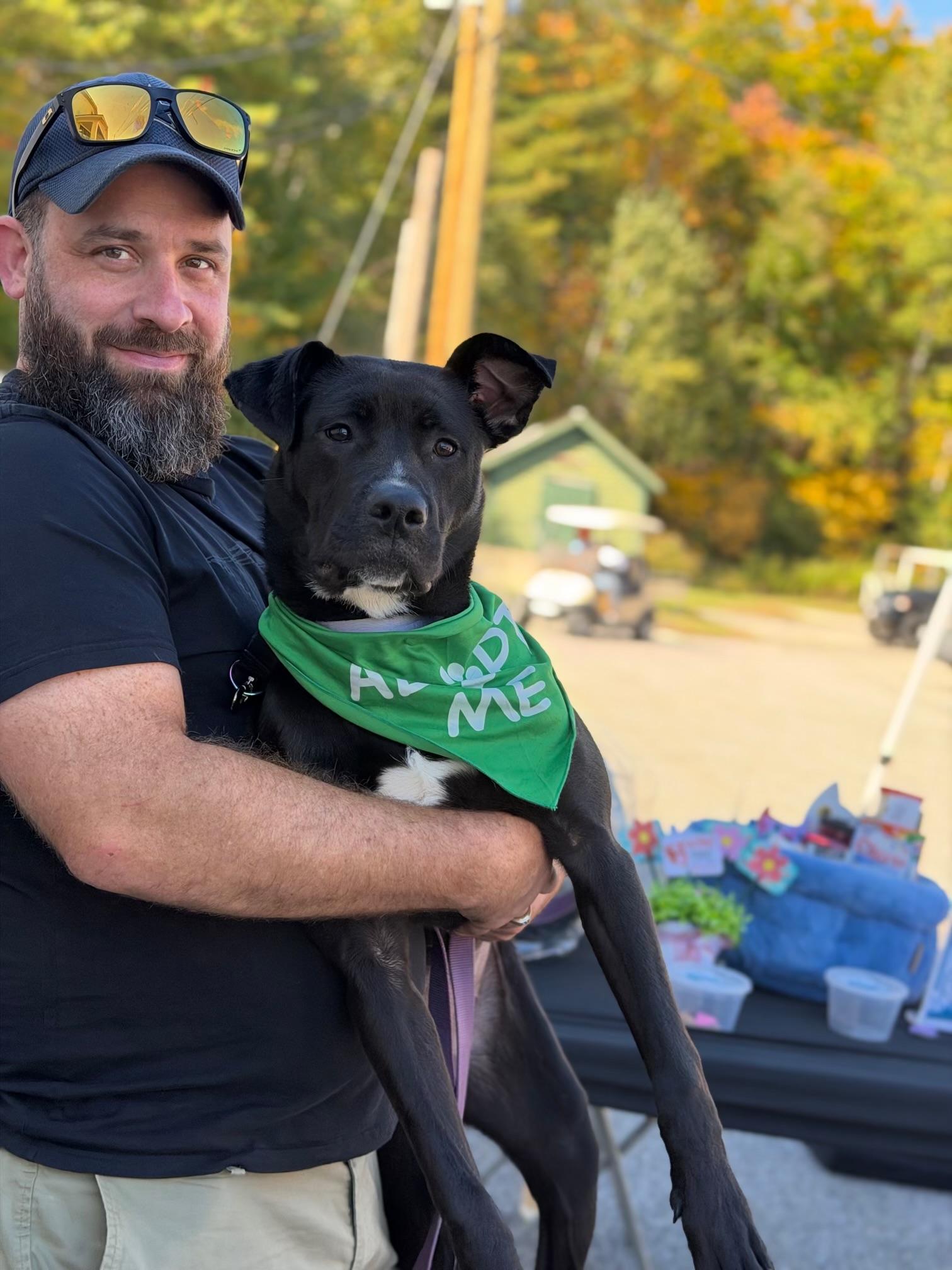 Enlarge APHRODITE aka Augie, a Adoptable mixed breed in Kennebunk , ME image 2/6