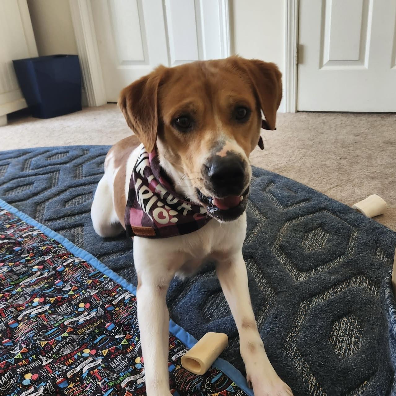 Daisy Mae — thumbnail 2