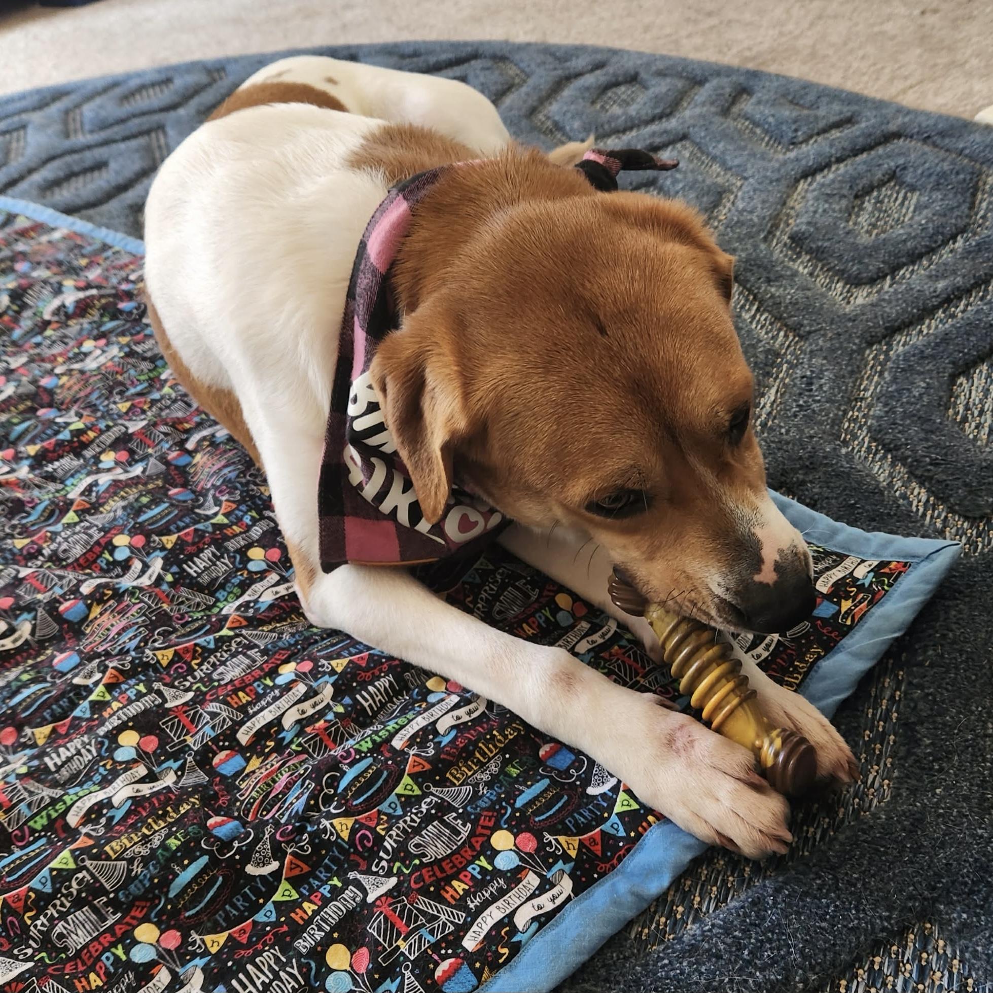 Daisy Mae — thumbnail 3