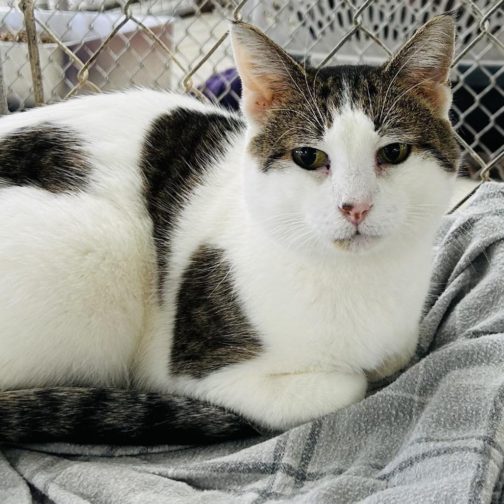 Honey — thumbnail 4