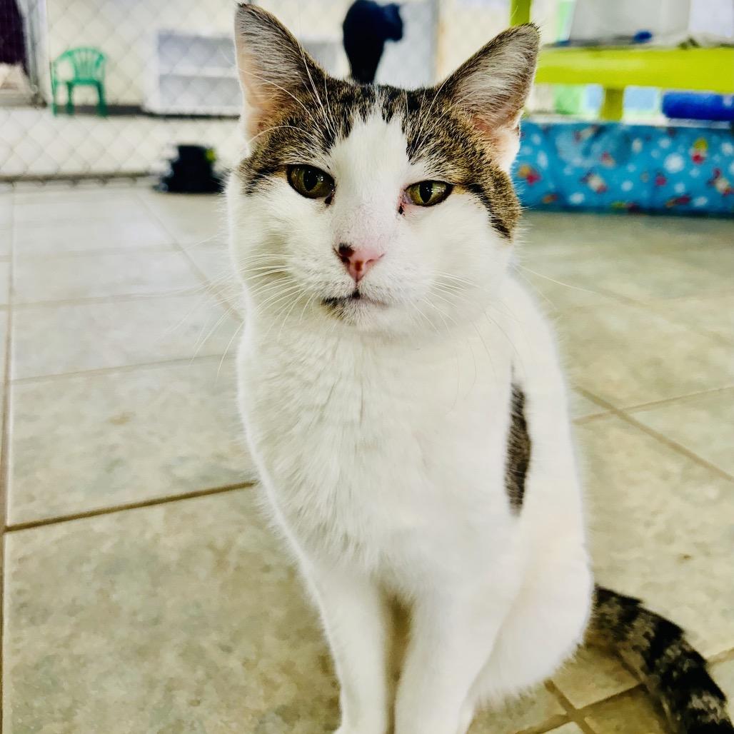 Honey — thumbnail 5