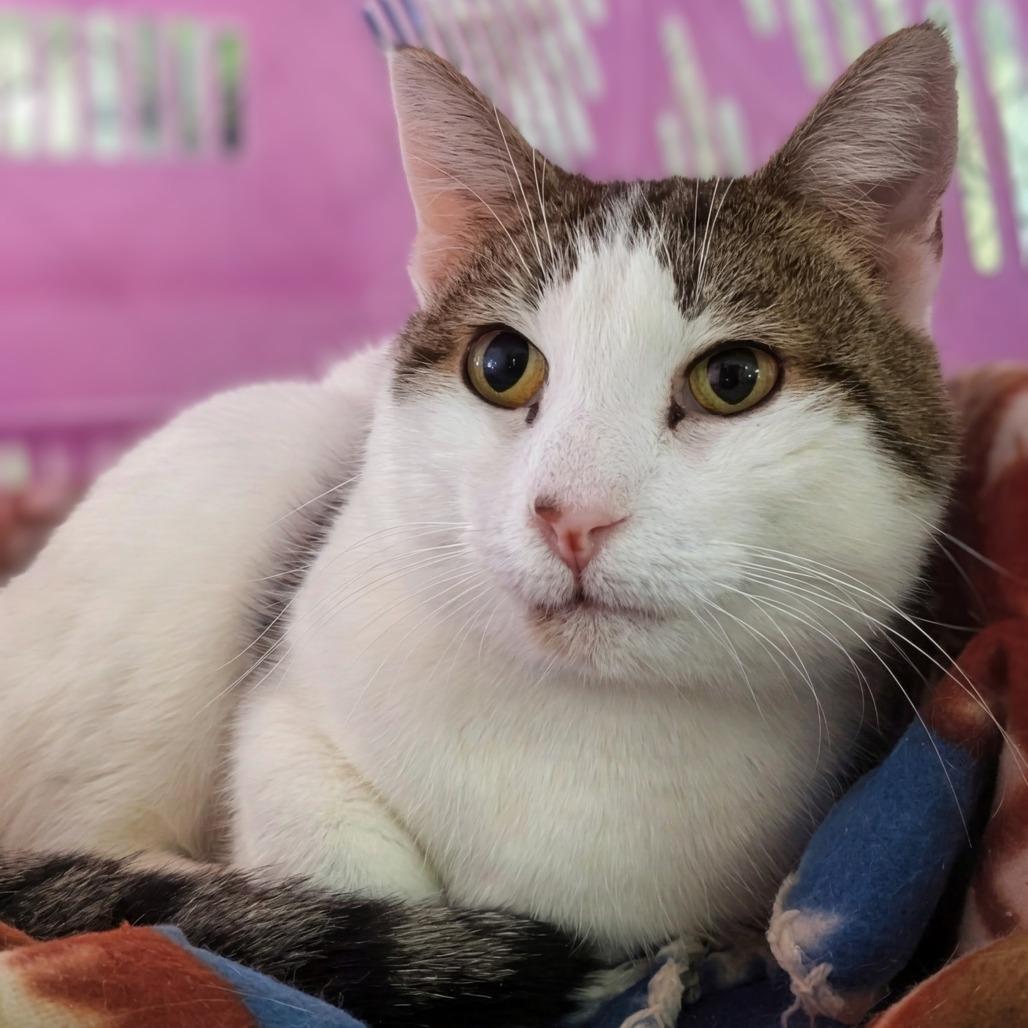 Honey — thumbnail 6