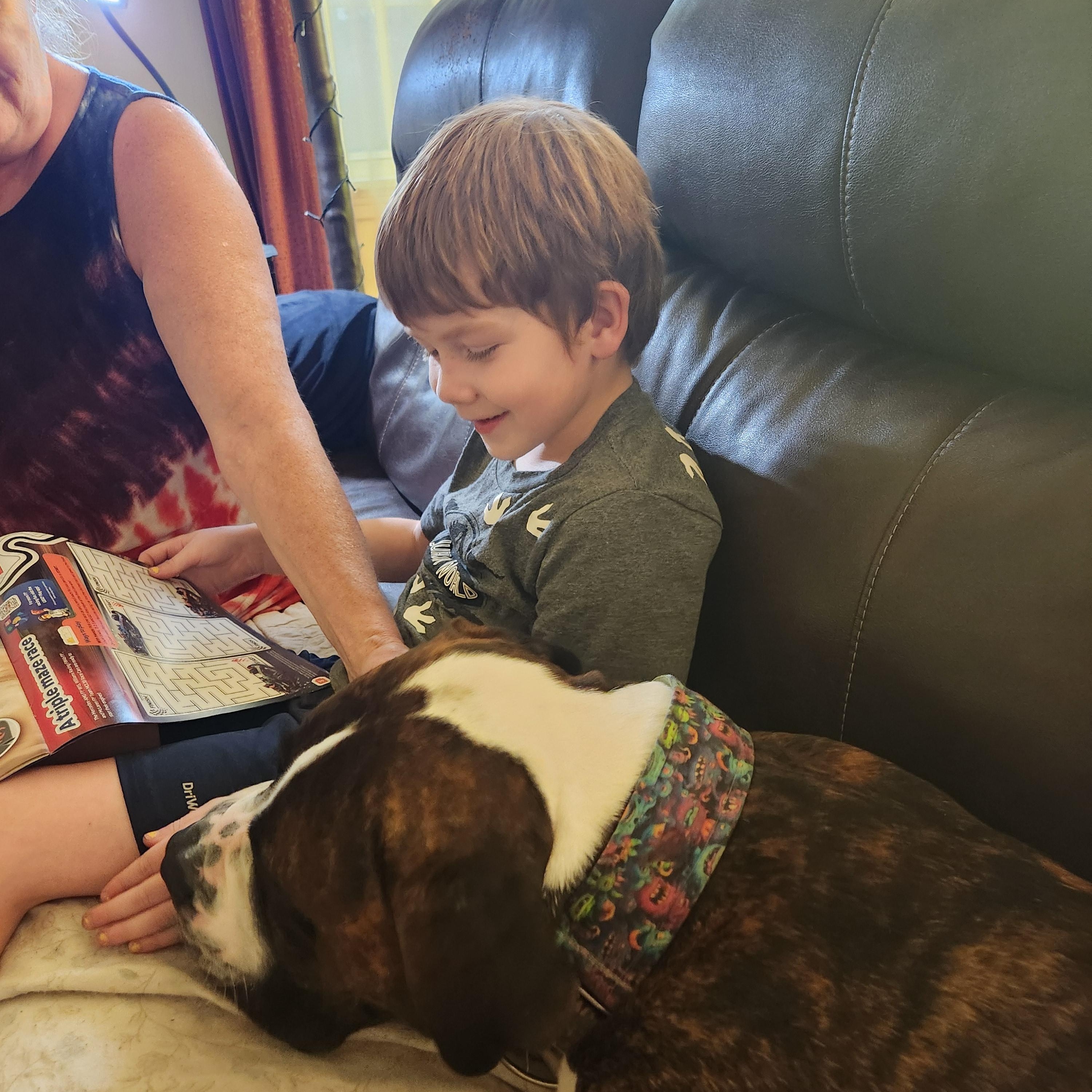 Sebastian, Adoptable, Adult Male American Bulldog.