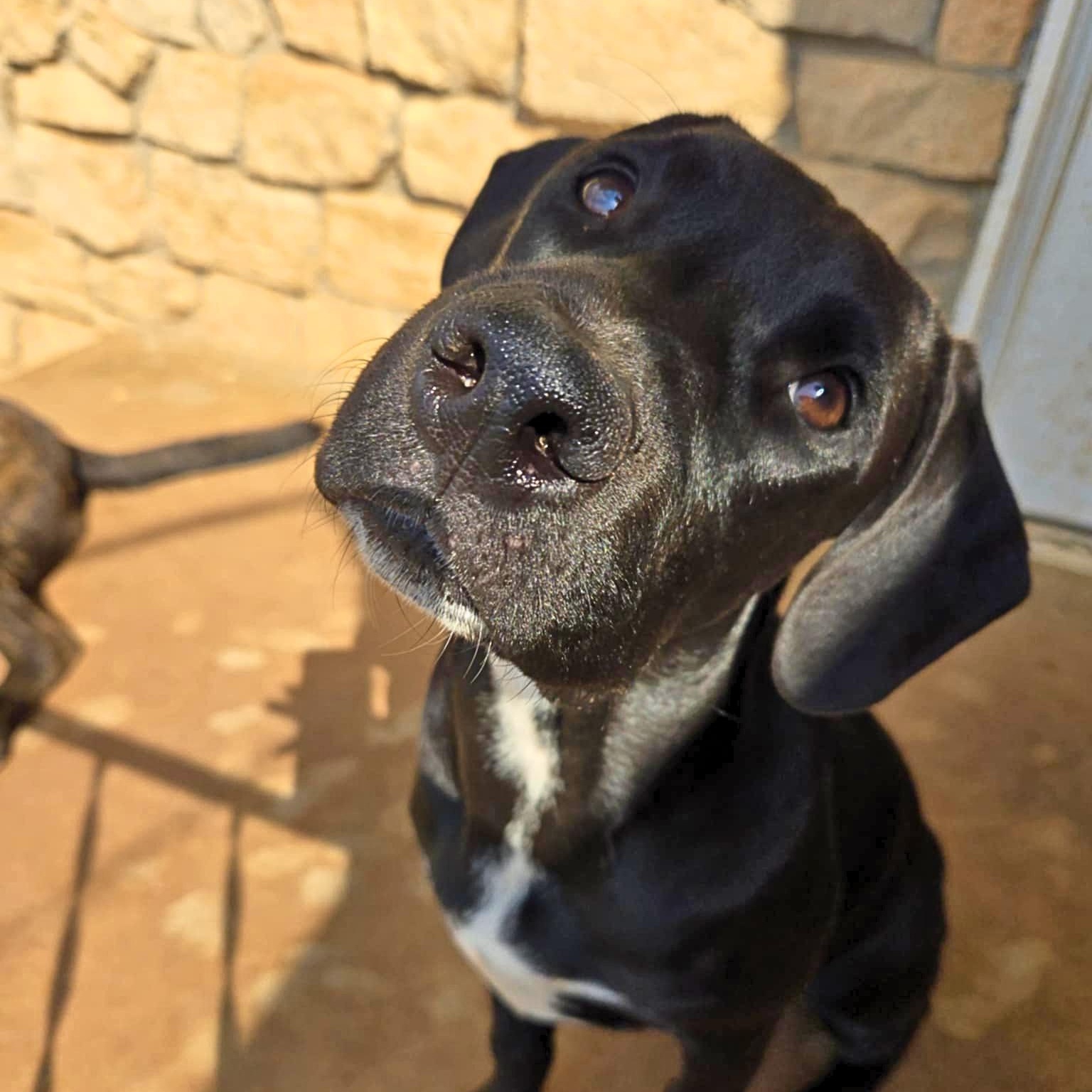 Patti