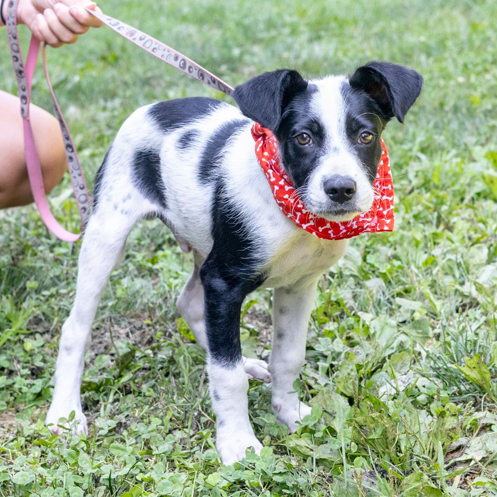 Riley (Male)