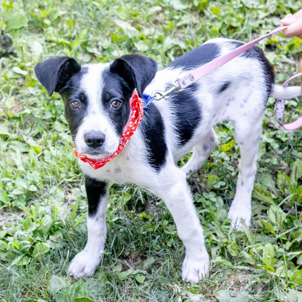 Riley (Male)