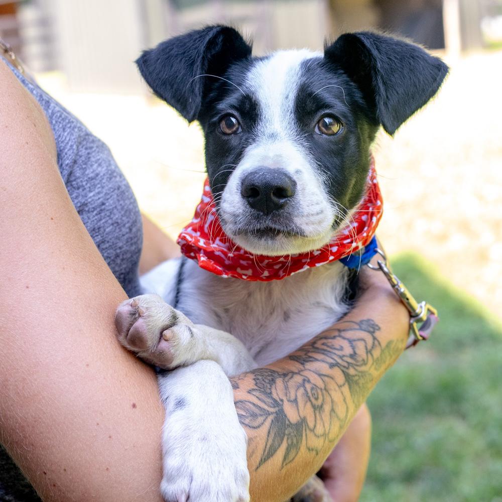 Riley (Male)