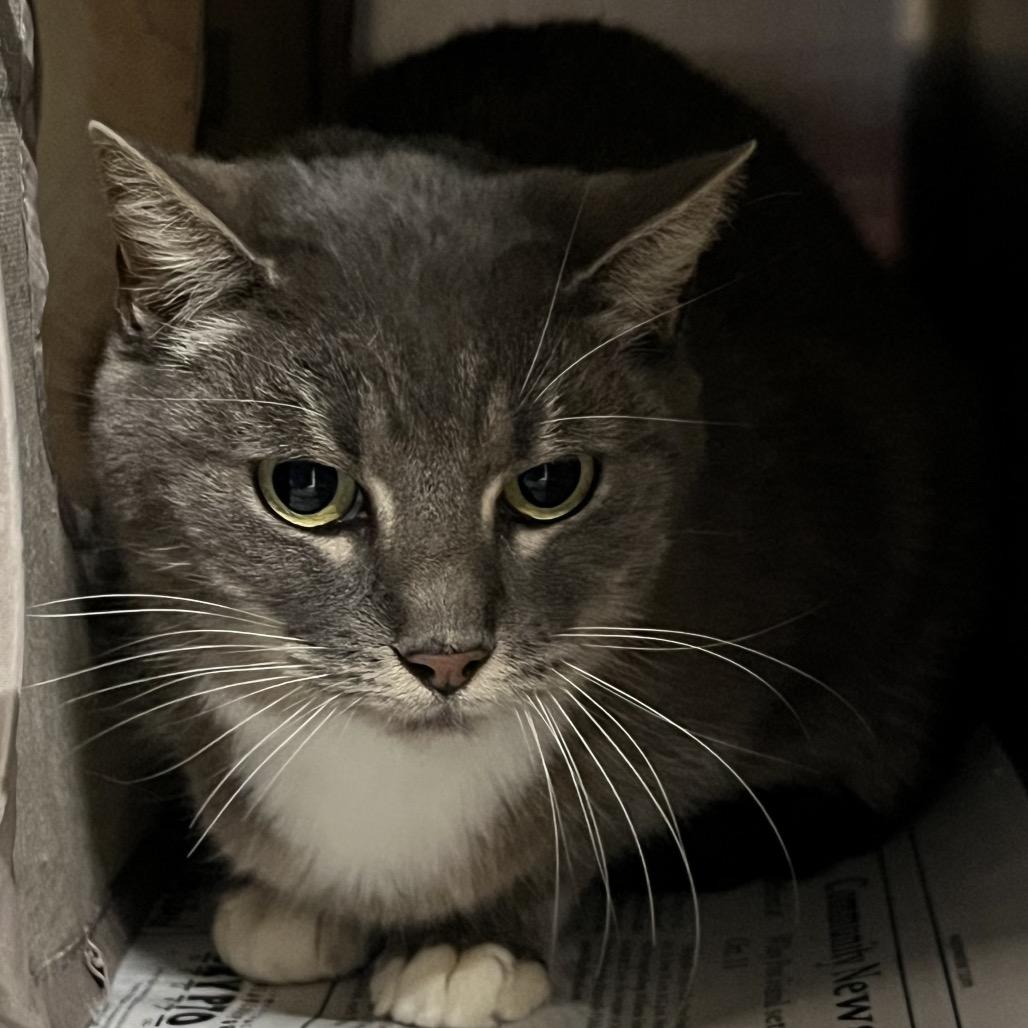 Florance thumbnail 3