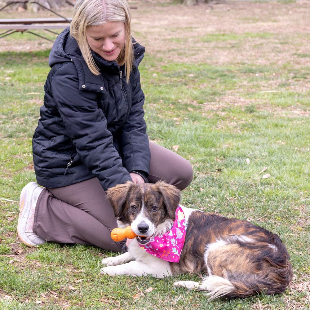 Enlarge Savannah  (Female)   , a Adoptable mixed breed in West Grove, PA image 4/6