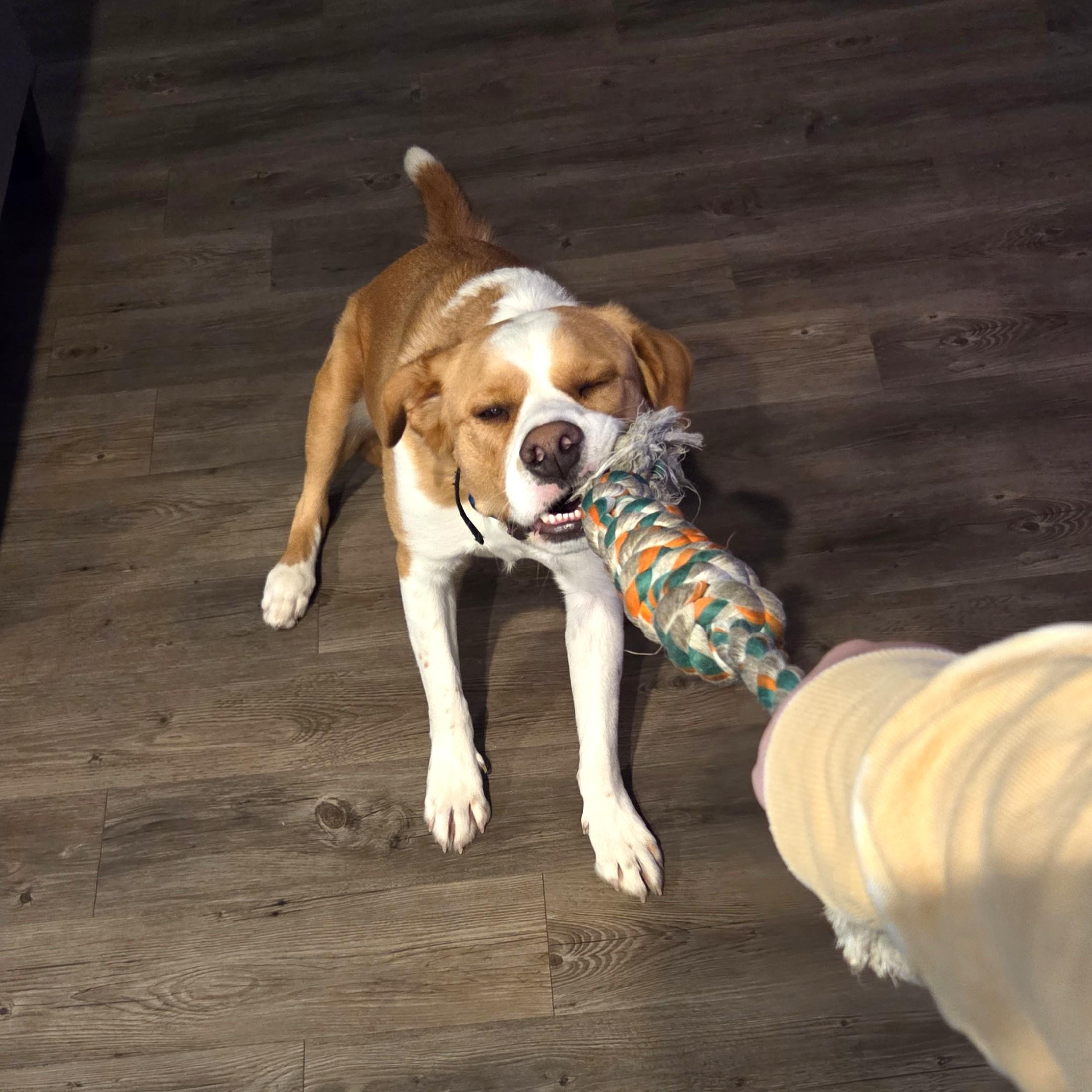 Nonny — thumbnail 6