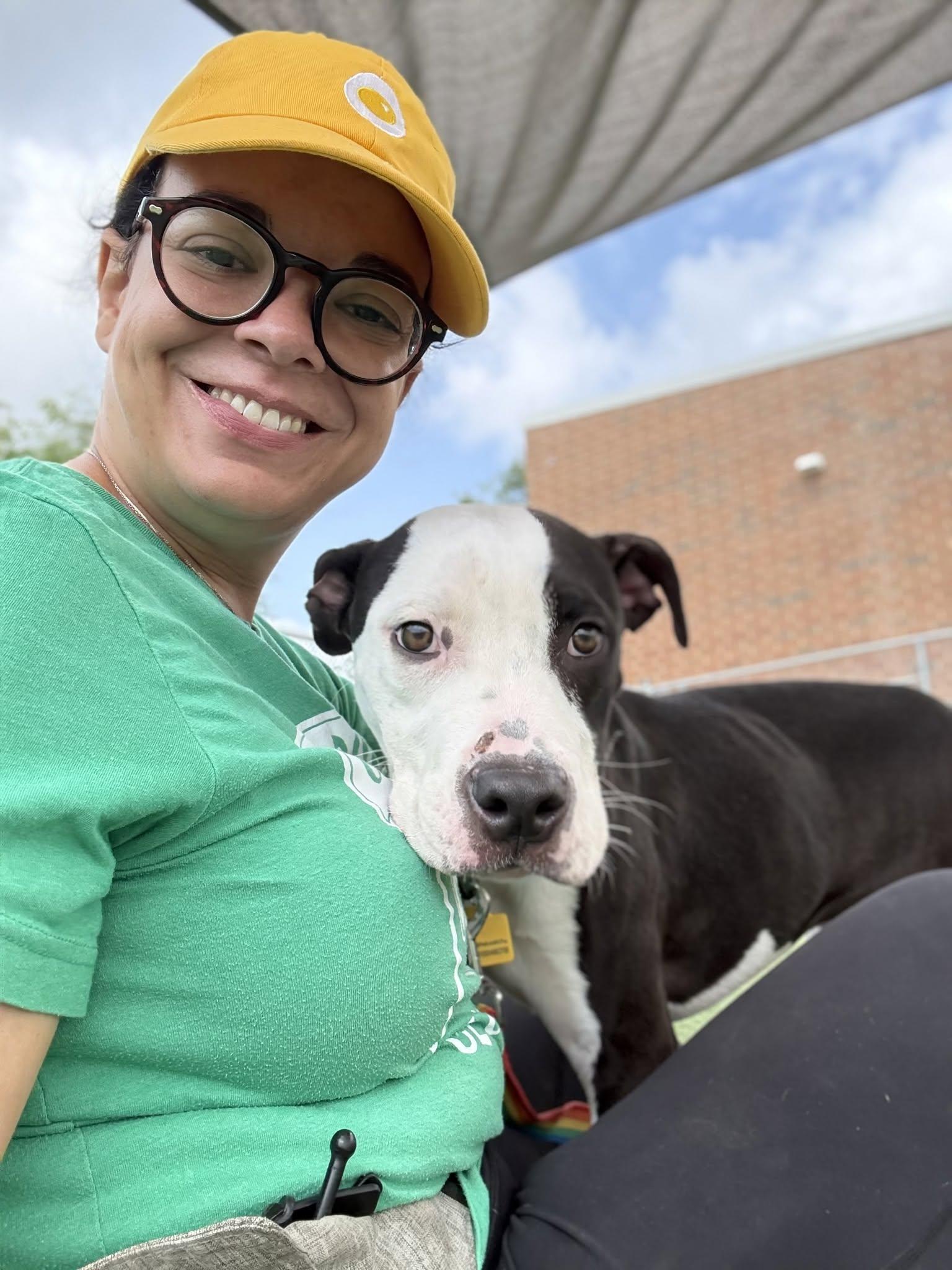 Picnic, an adopted mixed breed in Cleveland, OH image 3/6