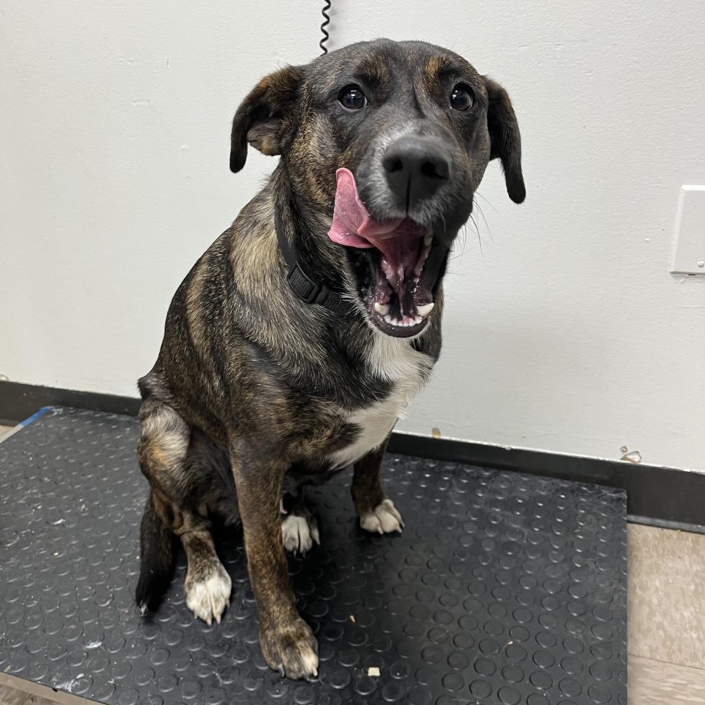 Stacy — thumbnail 2