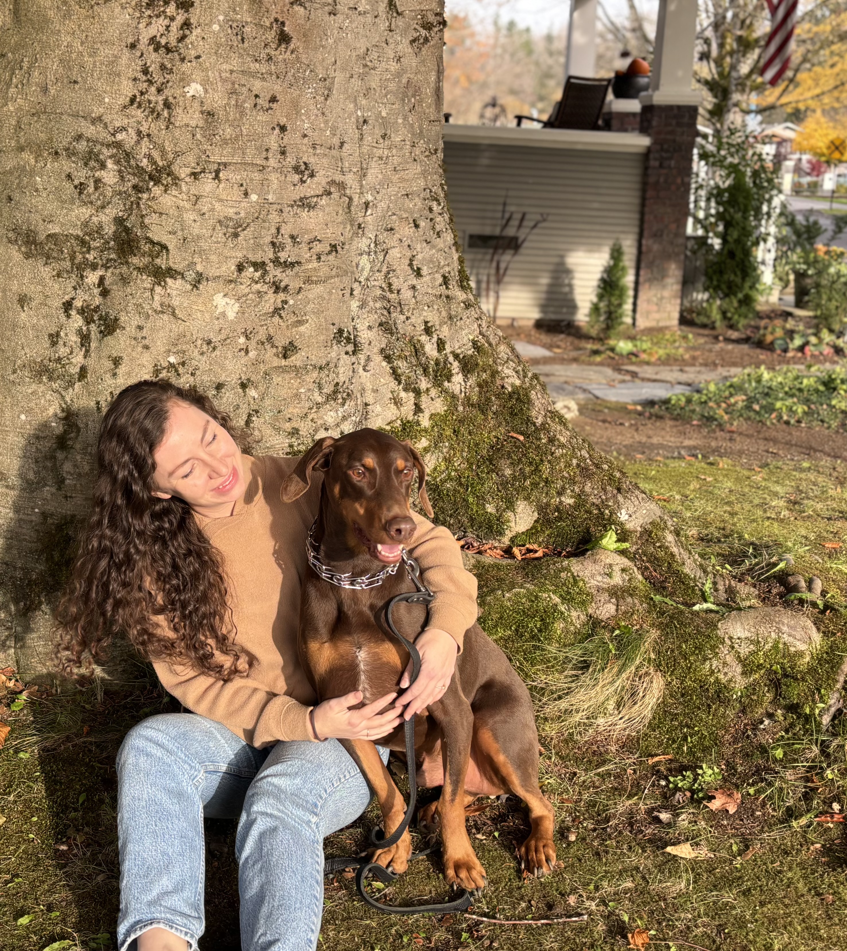 Duncan, a Adoptable Doberman Pinscher in Snoqualmie, WA image 2/6