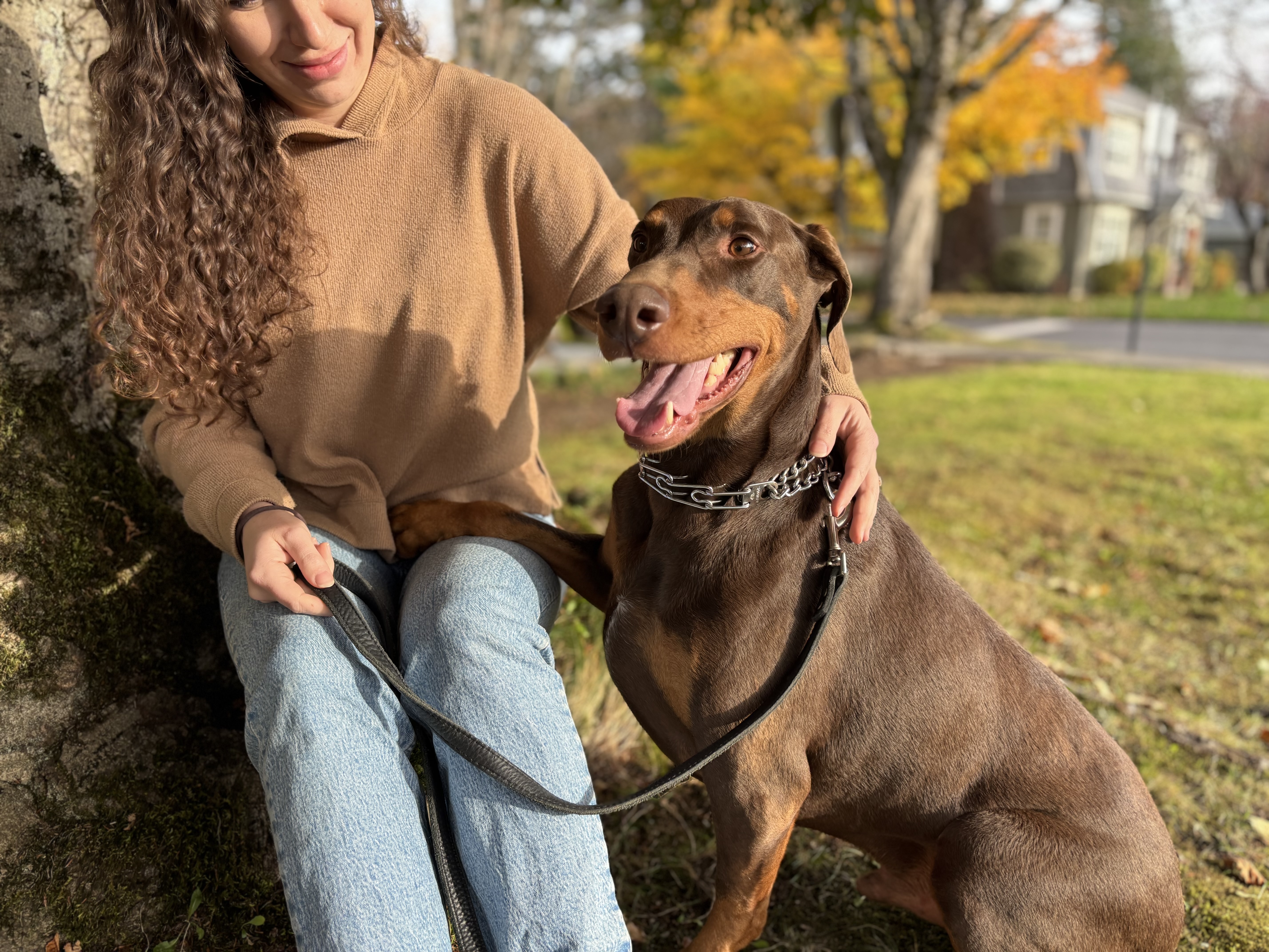 Duncan, a Adoptable Doberman Pinscher in Snoqualmie, WA image 3/6