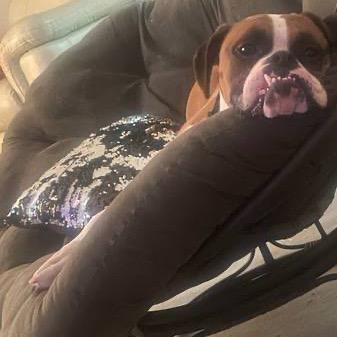 Diesel