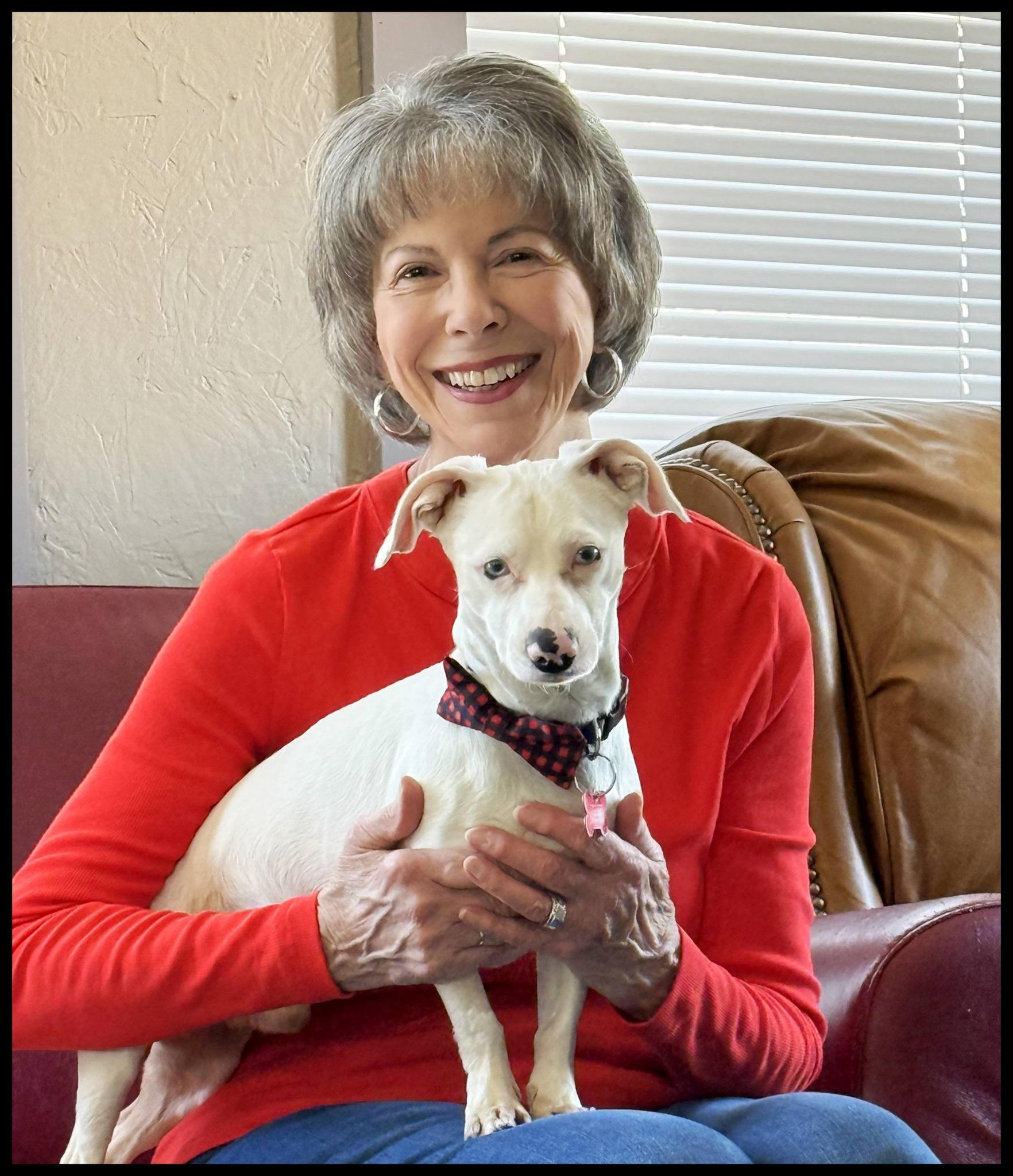 Enlarge Oscar, a ADOPTABLE mixed breed in Shawnee, KS image 6/6