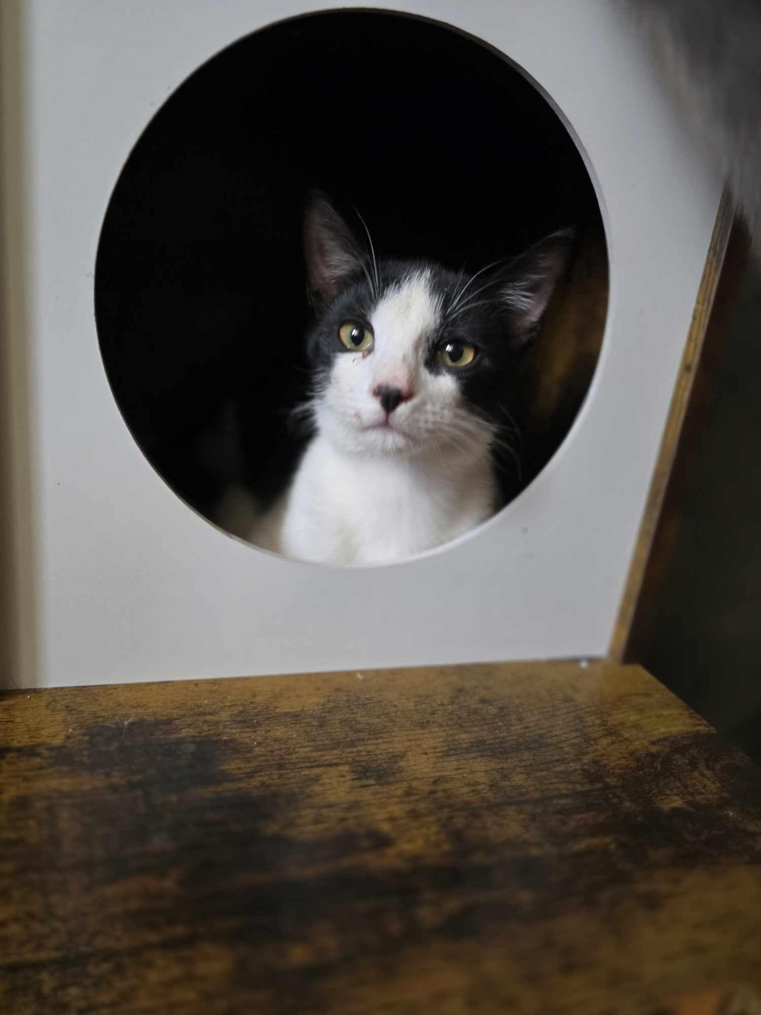 Sudoku — thumbnail 3