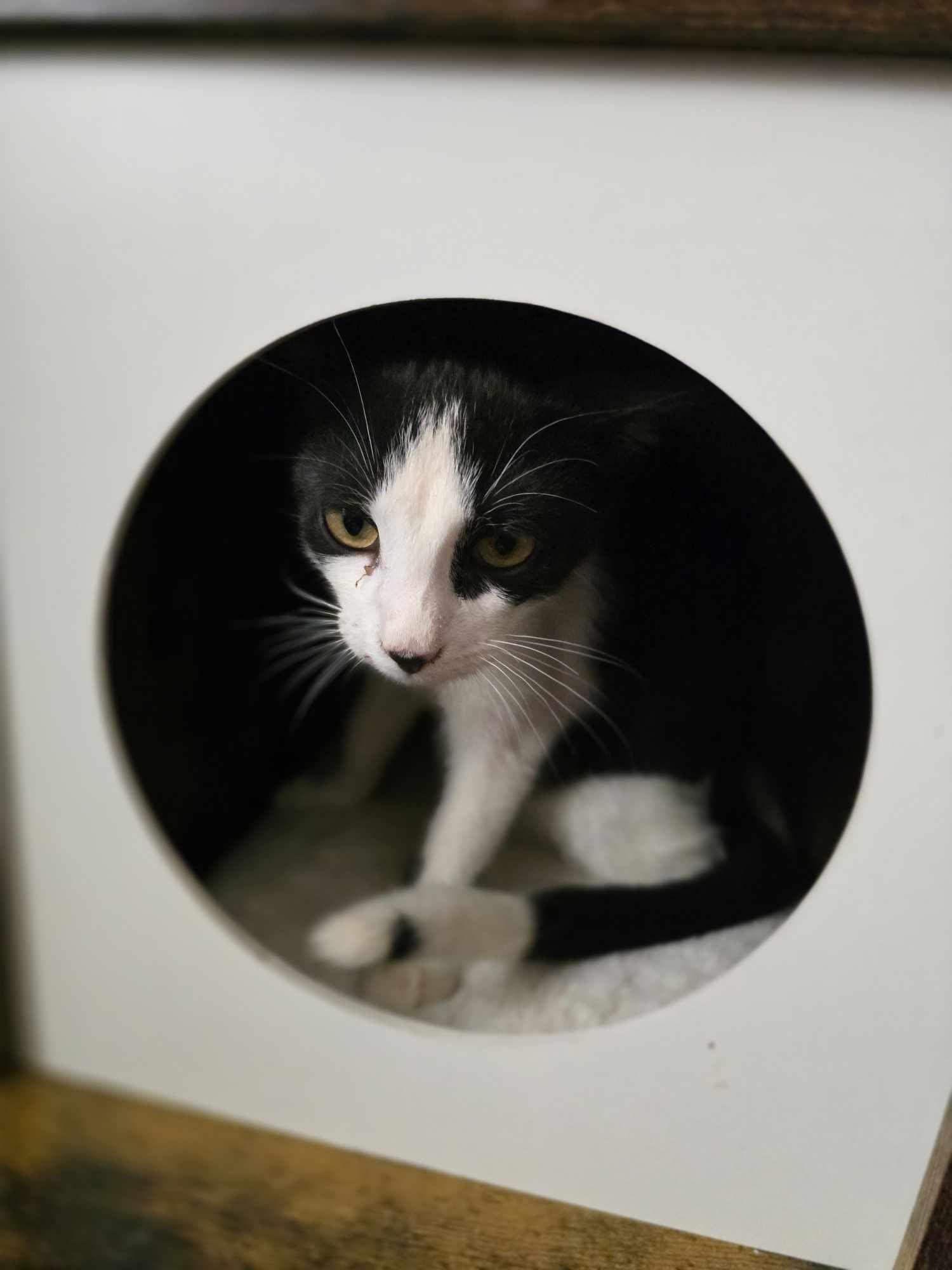 Sudoku — thumbnail 4