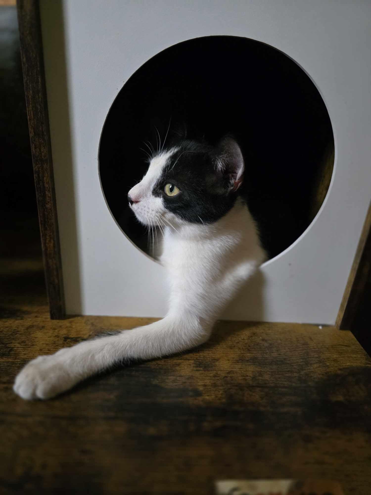 Sudoku — thumbnail 5