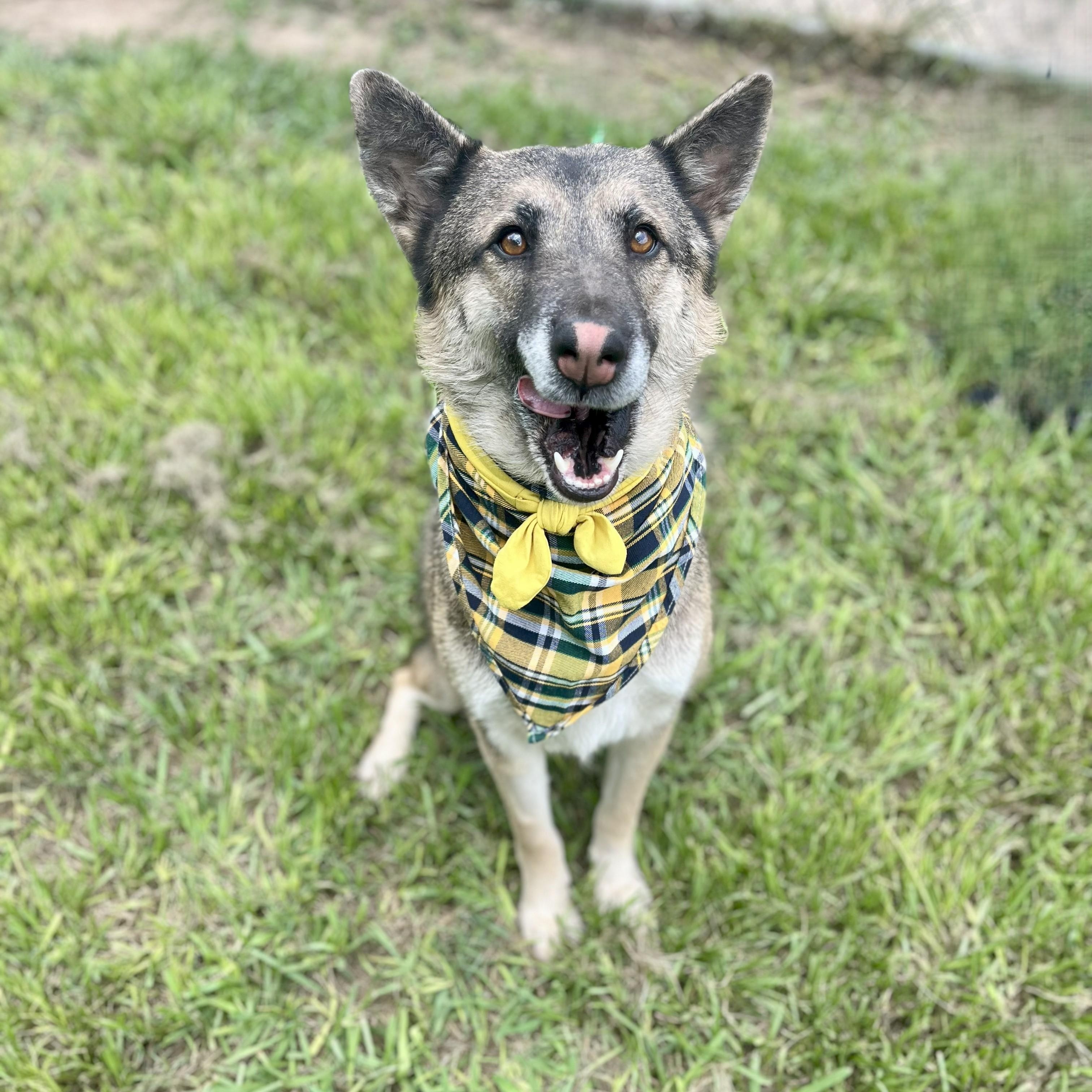 Nissan — thumbnail 4