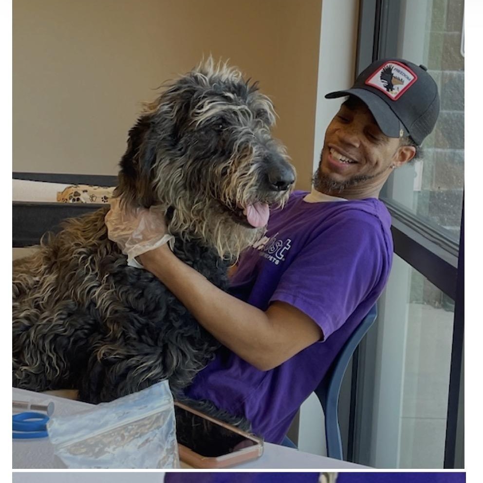 Enlarge Chewy, an adopted mixed breed in Wando, SC image 2/3