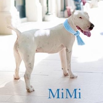 Mimi