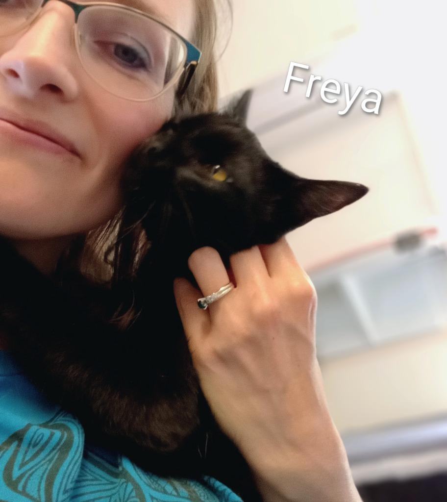 Freya, a Adopted mixed breed in Saint James, MN image 3/3