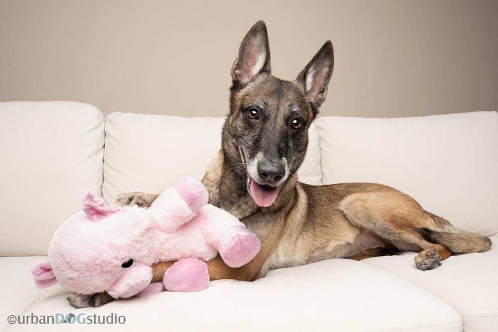 Maggie May  Located thumbnail 3