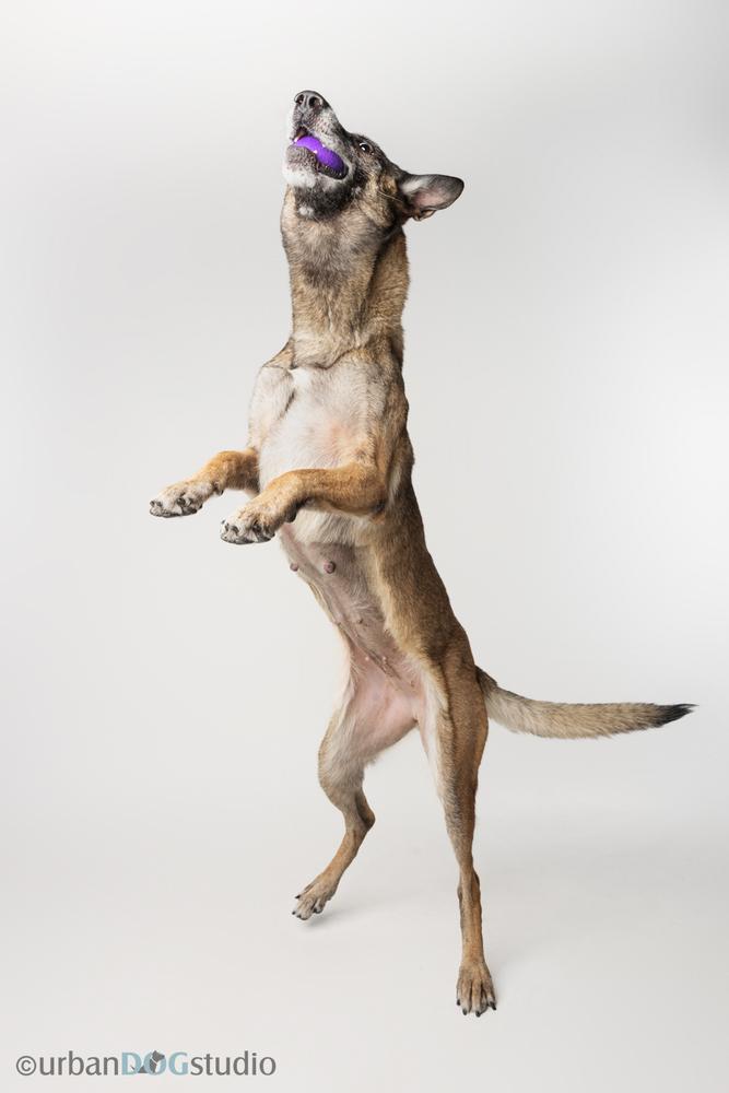 Maggie May  Located thumbnail 5