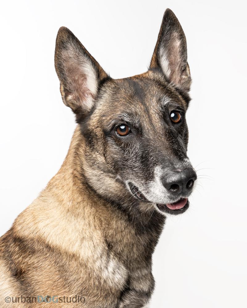 Maggie May  Located thumbnail 6